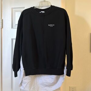 Zara Beethoven Sweater